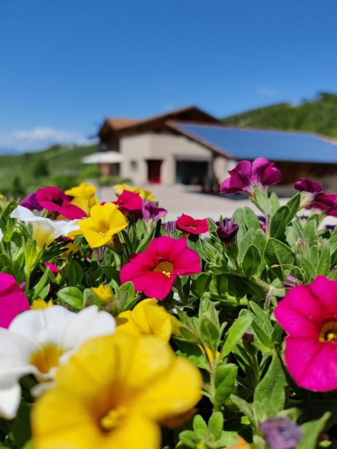 Villa Bio Agritur Al Bait Altspaur Exterior foto